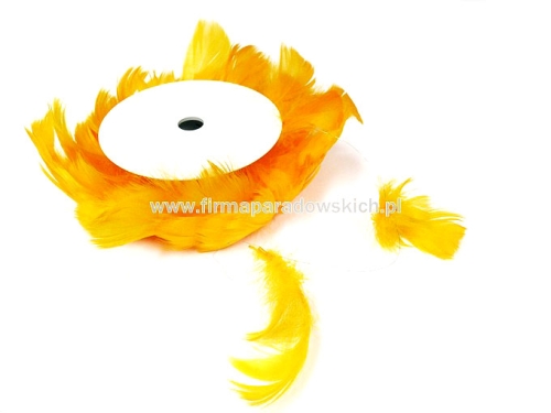 piórka na szpuli 1szt mango (01030086)