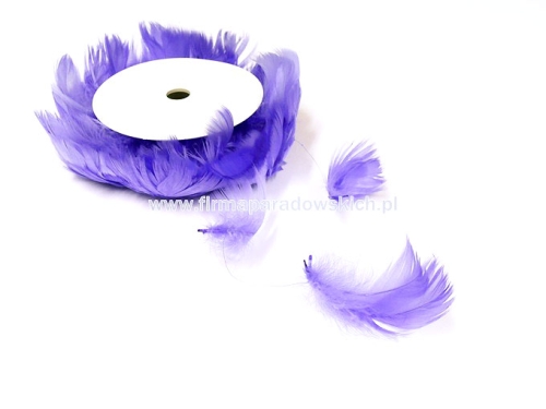 piórka na szpuli 1szt lila  (01030080)