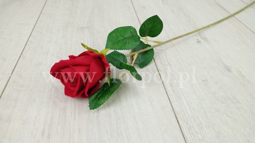 Welurowa róża  red  (KDGH15)