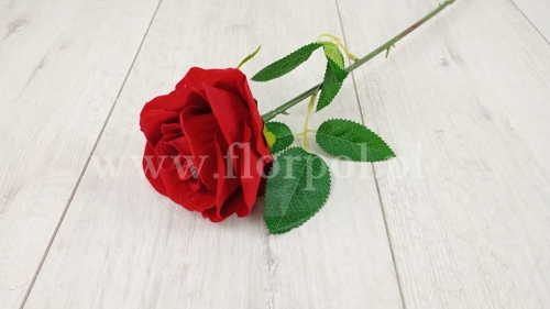 Welurowa róża  red (KDGH13)