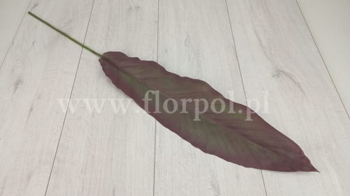 strelicja liść duży - guma 6szt brown/green (ANA1010)