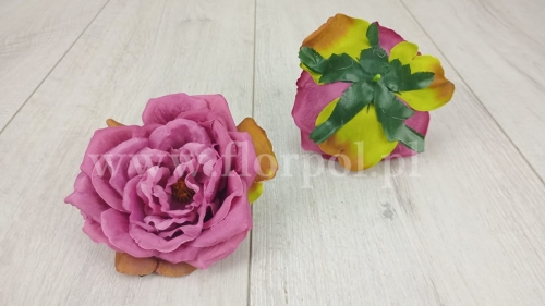 róża angielska - wyrobówka 12szt eozyna/zielona nasada