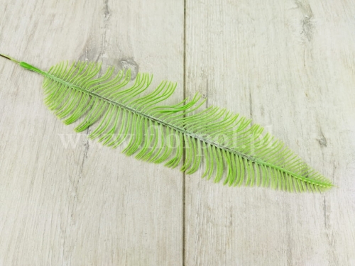 paprotka - rybia ość 12szt blada zieleń (KWZ1958)