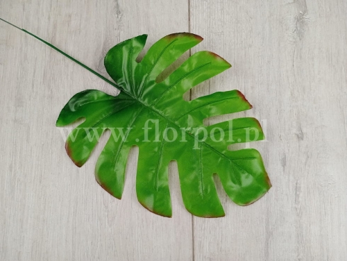 lisć monstera 12szt j.zieleń/brązowy cień (F68-40)