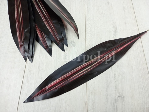 kordylina liść - cerata 12szt karmin/ecru