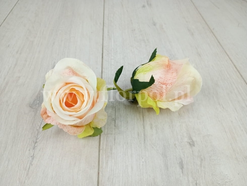 cieniowany pączek róży 12szt/wanilia/pistacja/czerwone żyłki (T137-23-0608)