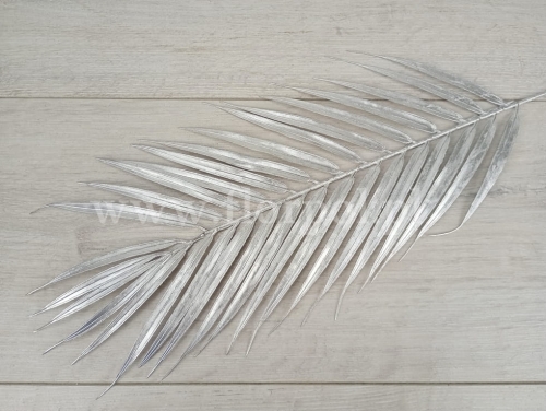 palmowy liść 12szt srebro (A510DD)