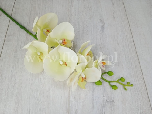 Orchidea silikonowa  lt.green (AJ45998)