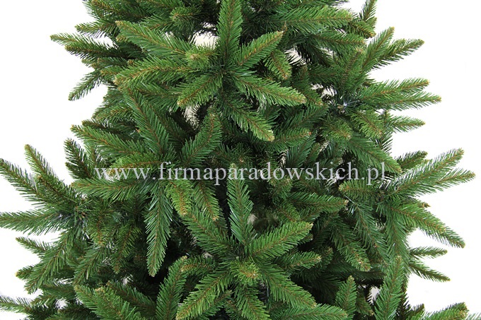 IMG_0321.jpg