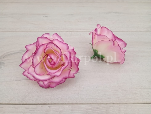 róża wyrobowa otwarta Sonia 12szt cream/mauve edge (#MA173)