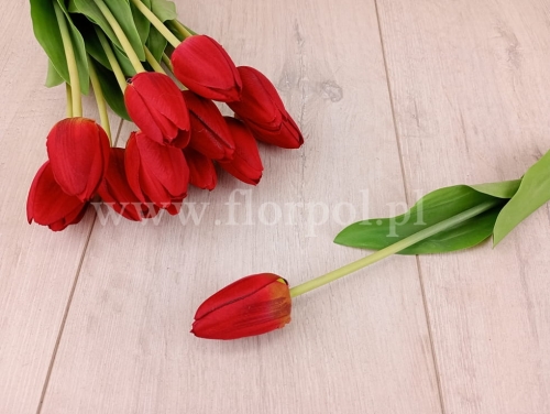 tulipan w pęczku 12szt red/gren (ART259)