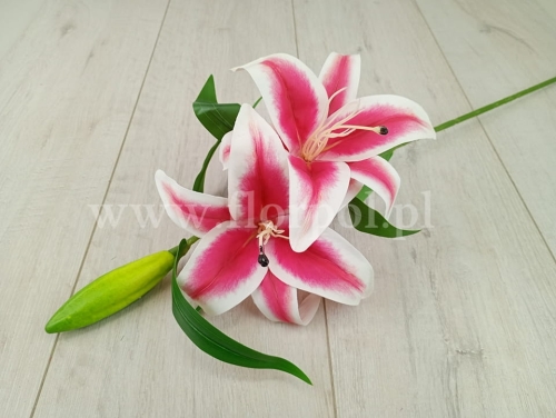 Lilia tygrysia - cerata 1szt rubin (HD133277)