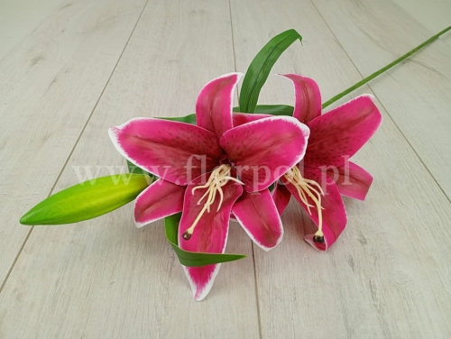 Lilia tygrysia - cerata 1szt amarant (HD133277)