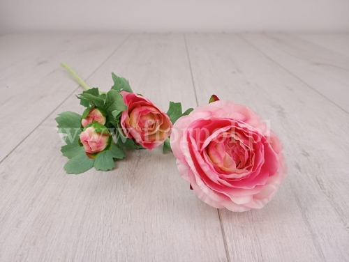 jaskier z pąkami - łodyga pojedyncza 1szt lt.pink (REN2002)