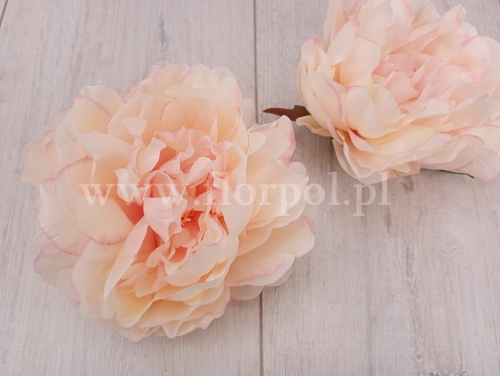 delikatna peonia wyrobowa 12szt #3080 powder peach/edge green (SUN406)