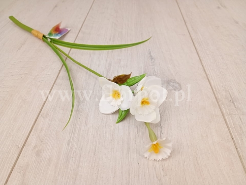 f68eb8c933010ce4a6df549593b169f5