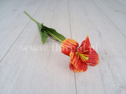 d847ac09b99525e5d6cfda261bb838dc