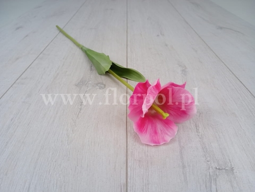 8428bc50a986d8876d474a2923321eb4