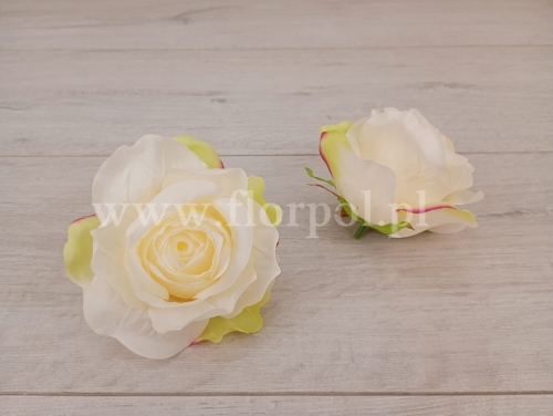 róża wyrobowa usztywniana 12szt  ecru/pistacja (ROA)