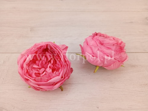 peonia krepiona 12szt różowy (ROR)