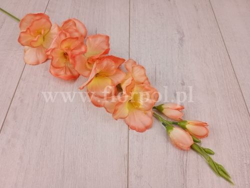 f20b3e548d56b48b3dab04fa084a6cfc