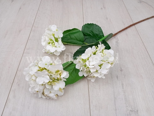 hurtownia florystyczna 5038.jpg