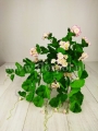 p152.jpg