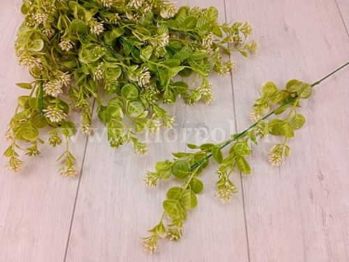 eukaliptus z baldaszkami - dodatek 12szt zielony/ecru (Z711)