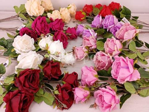 d11b1a8cef56476d239e2b8396442cba