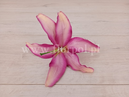 lilia wyrobowa 12szt fiolet/krem