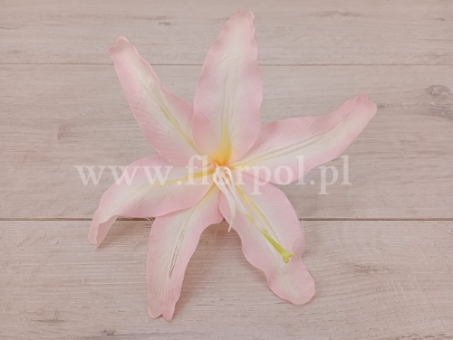 lilia wyrobowa 12szt pud.róż/wanilia