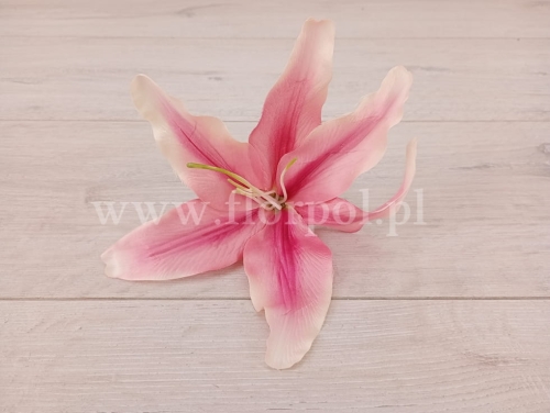 lilia wyrobowa 12szt róż kremowe końce