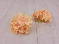 31d8804a45045433a438a98bacd2a4ff