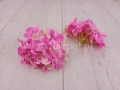 0d2560f9be775a8aaace48cc6ae00950