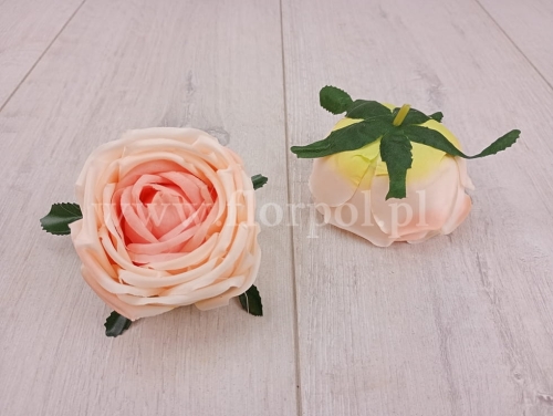 róża wyrobowa okrągła 12szt brzoskwinia/morela (T137-23-0613)