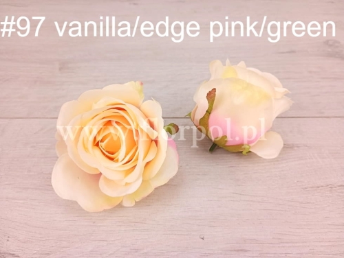 róża wyrobowa usztywniana 12szt #97 vanilla/edge pink/green (MGHT)