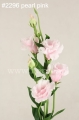 1568df478fb378ec173c83c6ed240b27