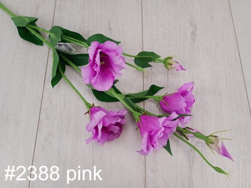 Eustoma atłasowa 7kwiatów/ wysoka/cieniowana 1szt  #2388 pink edge/lt.pink(SUN345)
