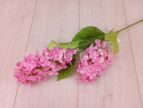 29cb4d09152d857b2cbaa48e96967e45