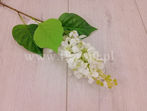 lilak gałązka 1szt white (KLM1213)