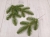 f1e098deb46964eac499c2cb3b0775ff