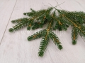 świerk_sztuczna_gałązka_6148.jpg