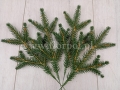 świerk_sztuczna_gałązka_6149.jpg