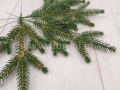 świerk_sztuczna_gałązka_6150.jpg