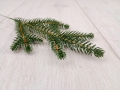 świerk_sztuczna_gałązka_6142.jpg