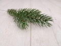 świerk_sztuczna_gałązka_6112.jpg
