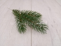 świerk_sztuczna_gałązka_6114.jpg