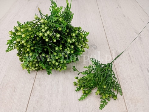 tuja i kuliste kwiatostany 6szt zielony (766-1)