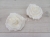 paradowscy 6310.jpg
