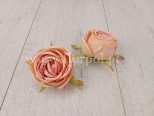 róża płaska wyrobowa 12szt #4 brzoskwinia/róż (KWO3068-A)